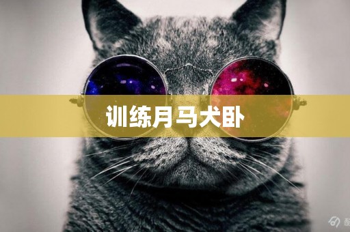 訓練月馬犬臥