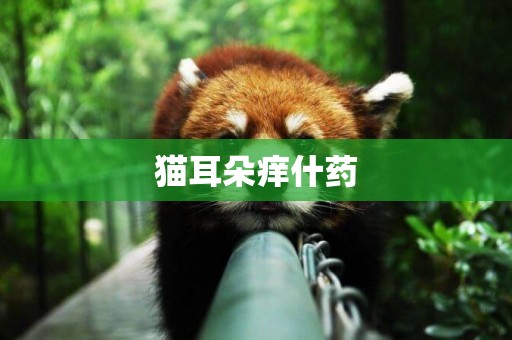 貓耳朵癢什藥