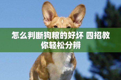 怎么判斷狗糧的好壞 四招教你輕松分辨