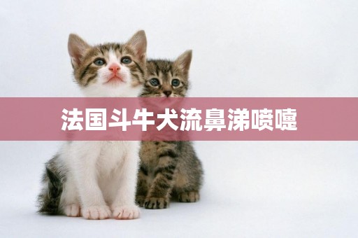 法國斗牛犬流鼻涕噴嚏