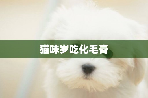 貓咪歲吃化毛膏