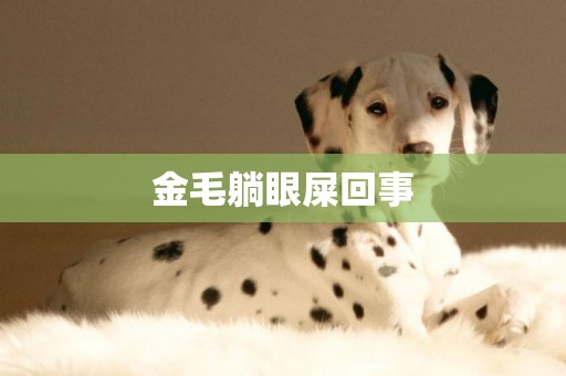 金毛躺眼屎回事