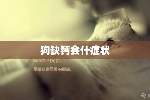 狗缺鈣會什癥狀