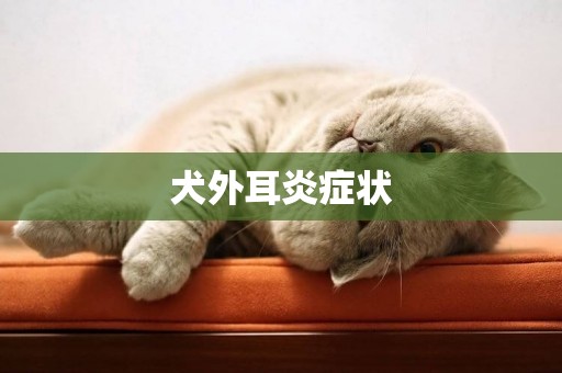 犬外耳炎癥狀