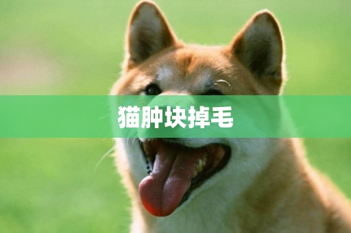 貓腫塊掉毛