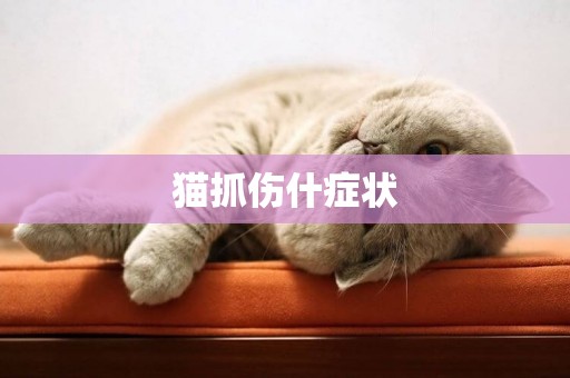 貓抓傷什癥狀