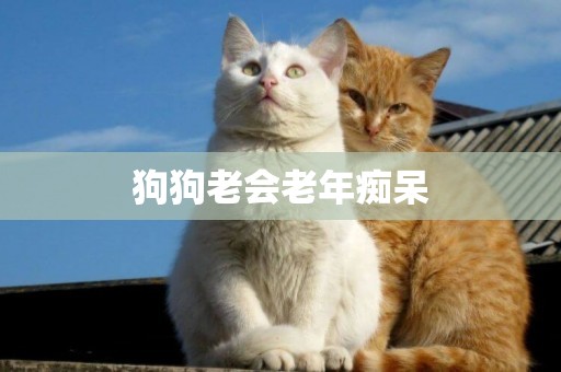 狗狗老會老年癡呆