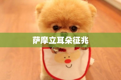 薩摩立耳朵征兆