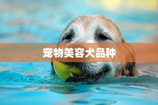 寵物美容犬品種
