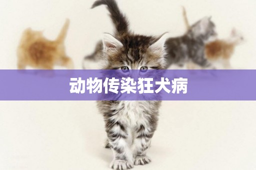 動物傳染狂犬病