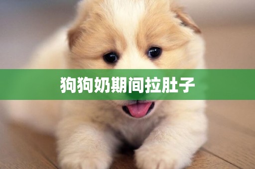 狗狗奶期間拉肚子