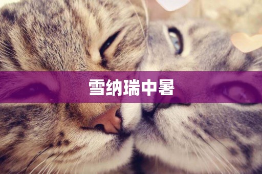雪納瑞中暑