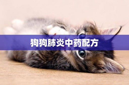 狗狗肺炎中藥配方