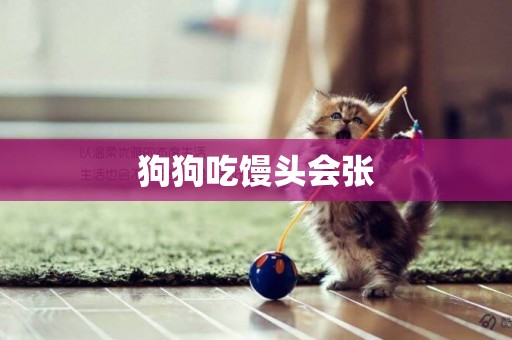 狗狗吃饅頭會張