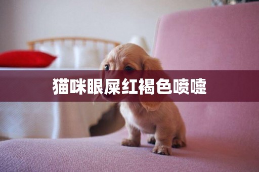 貓咪眼屎紅褐色噴嚏