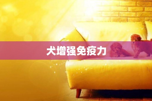 犬增強免疫力