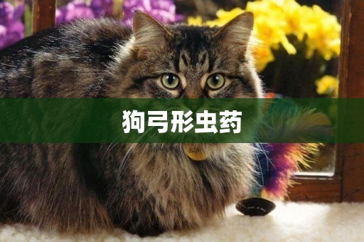狗弓形蟲藥