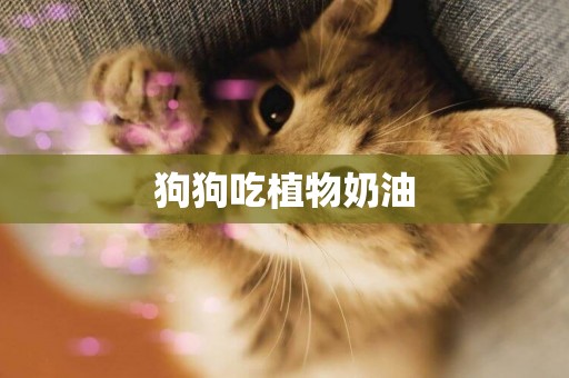 狗狗吃植物奶油