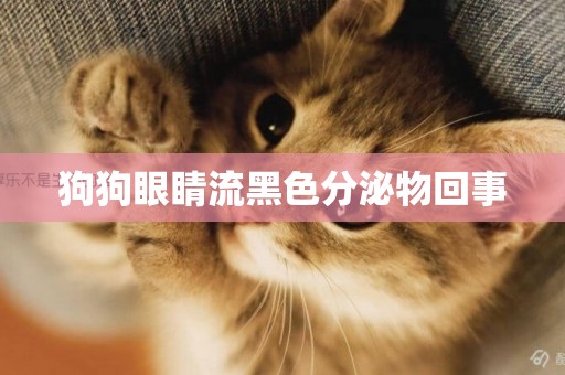 狗狗眼睛流黑色分泌物回事