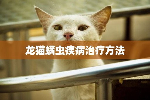 龍貓螨蟲疾病治療方法