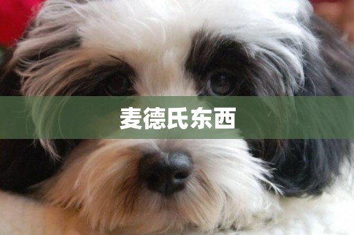 麥德氏東西