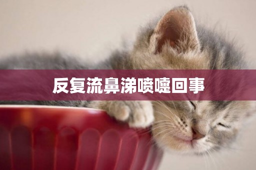 反復流鼻涕噴嚏回事