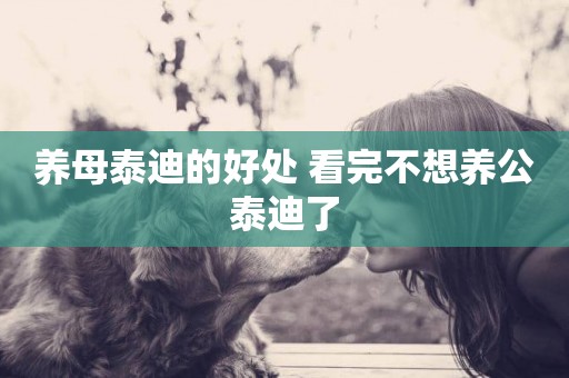 養母泰迪的好處 看完不想養公泰迪了