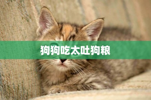 狗狗吃太吐狗糧