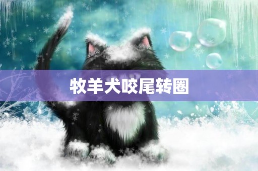 牧羊犬咬尾轉圈