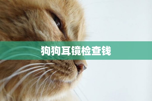 狗狗耳鏡檢查錢