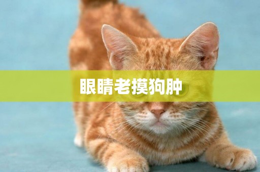 眼睛老摸狗腫