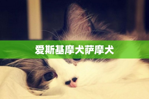 愛斯基摩犬薩摩犬