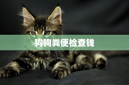 狗狗糞便檢查錢