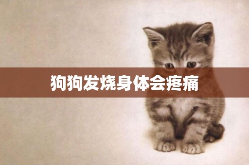 狗狗發燒身體會疼痛