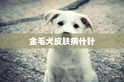 金毛犬皮膚病什針