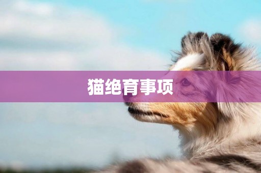 貓絕育事項