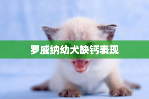 羅威納幼犬缺鈣表現