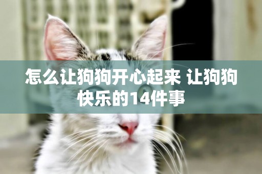 怎么讓狗狗開心起來 讓狗狗快樂的14件事
