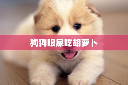 狗狗眼屎吃胡蘿卜