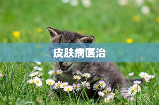 皮膚病醫治