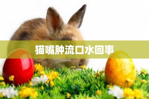貓嘴腫流口水回事