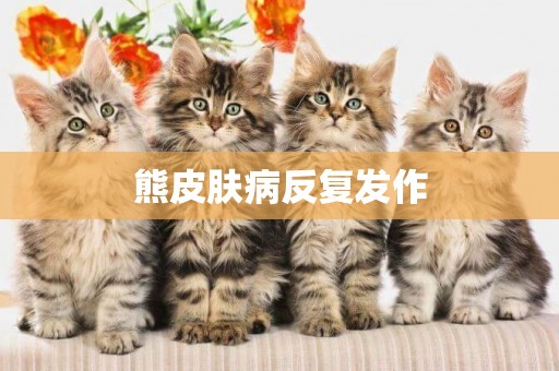 熊皮膚病反復發作