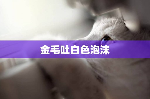 金毛吐白色泡沫