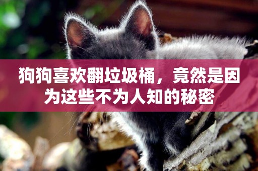 狗狗喜歡翻垃圾桶，竟然是因為這些不為人知的秘密