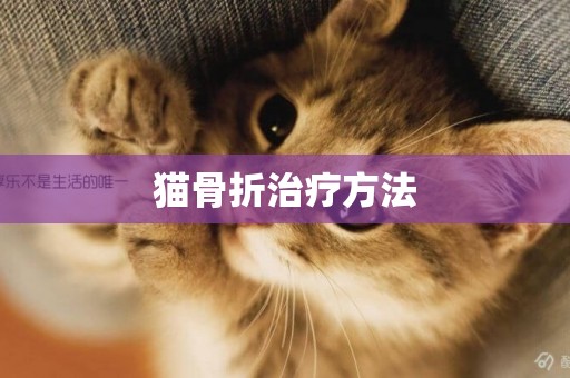 貓骨折治療方法