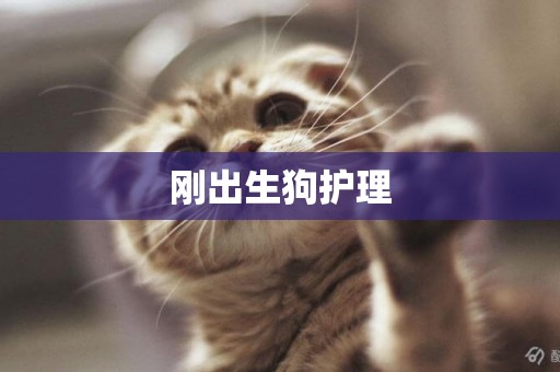 剛出生狗護理
