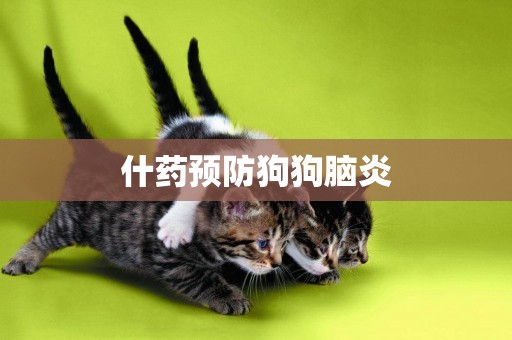 什藥預防狗狗腦炎
