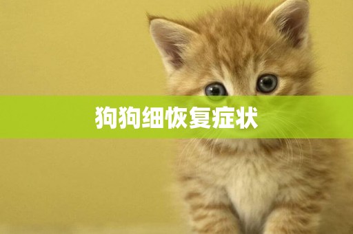 狗狗細恢復癥狀
