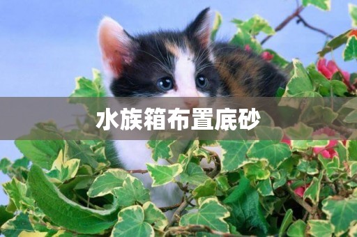 水族箱布置底砂