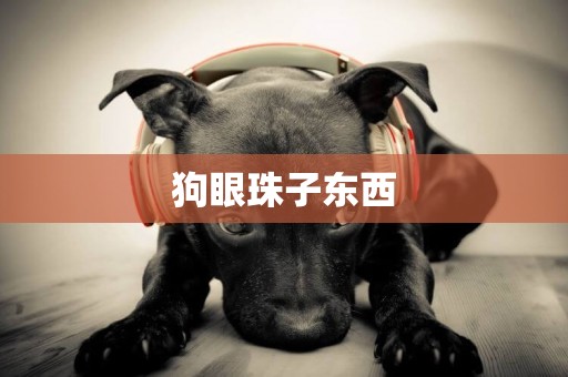 狗眼珠子東西